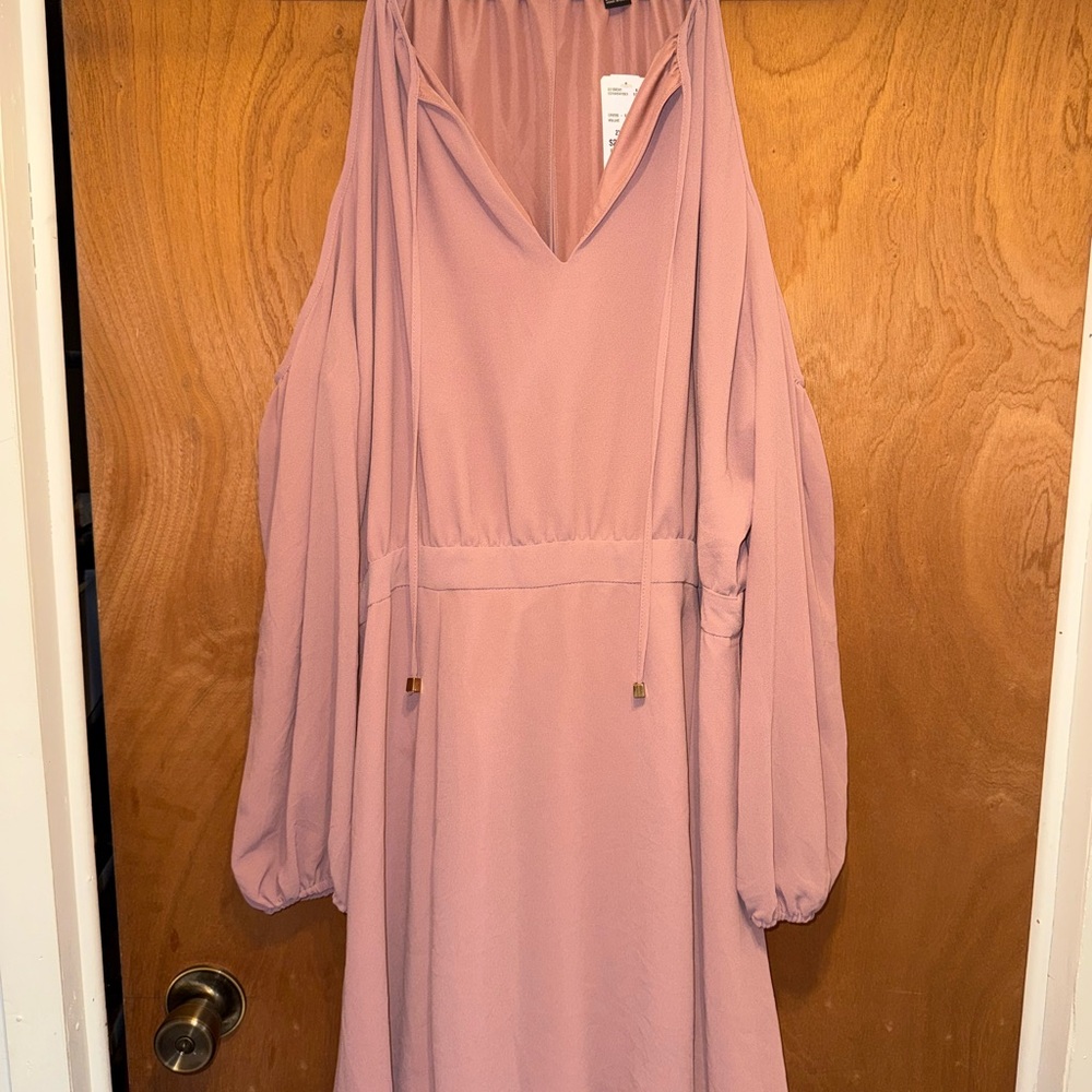 Forever 21 Long Sleeve Mauve Dress